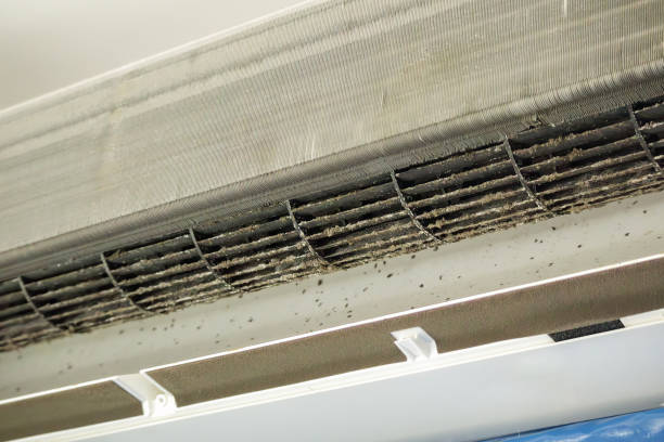 Best Home Air Vent Cleaning  in Henderson, NV